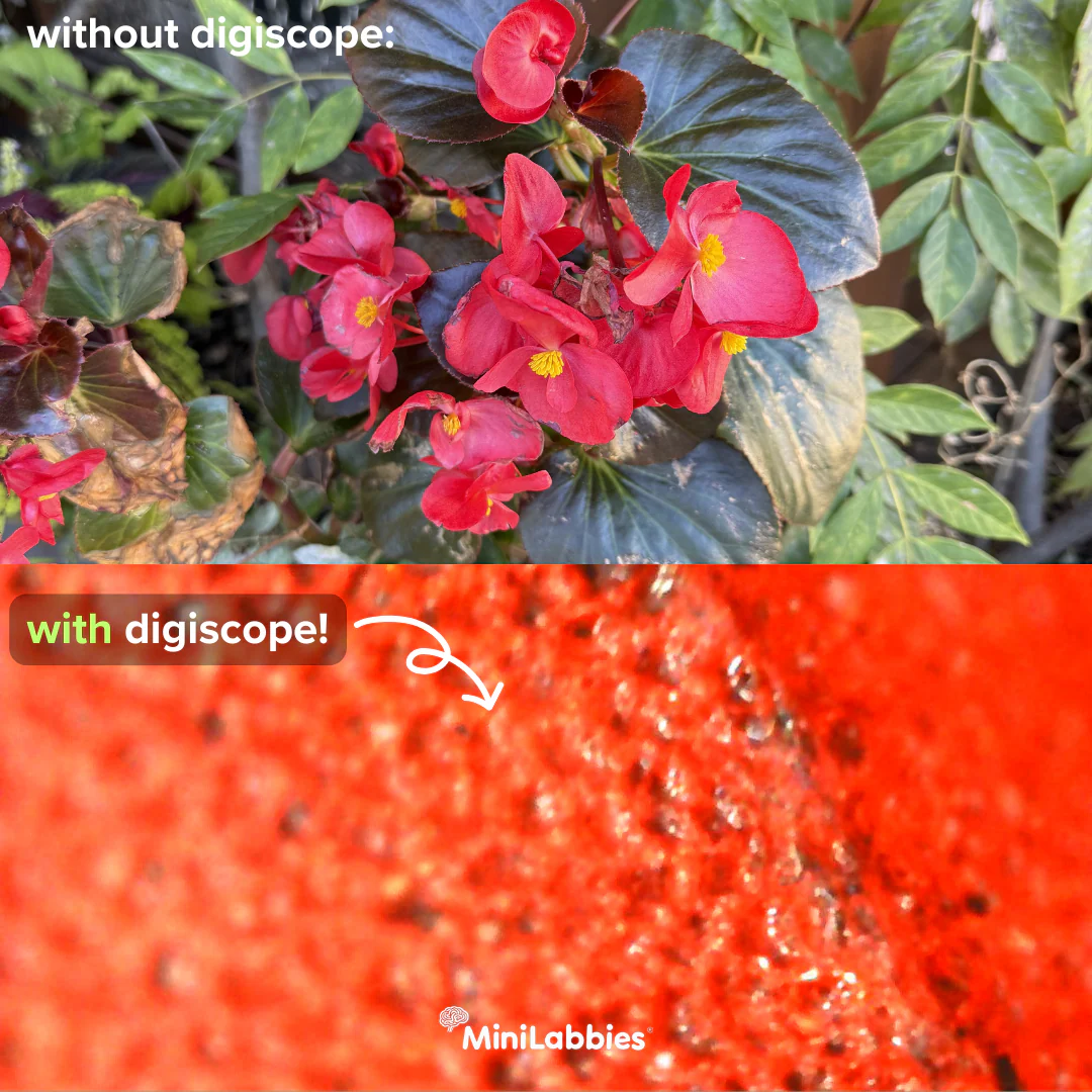The Digiscope™